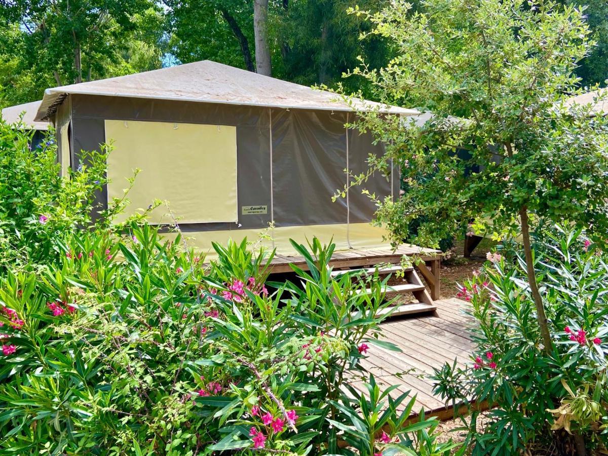 Camping Le Sagone Sagone  Eksteriør billede